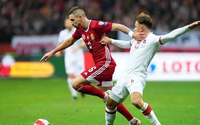 星空体育网站入口-阿尔巴尼亚对波兰比赛中断